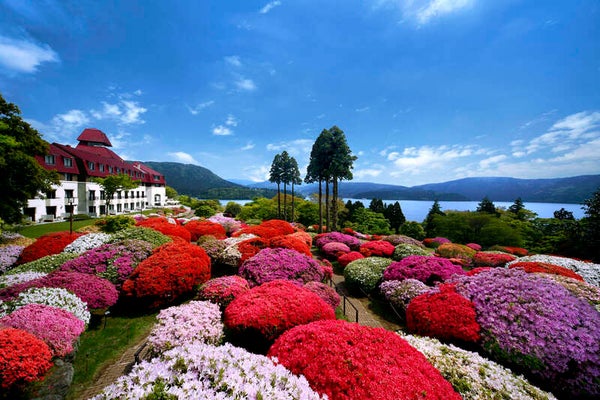 【東京都内発※町田を除く】 ガイド付でご案内!偉人邸宅「旧吉田茂邸」邸内見学とバラ観賞 箱根山のホテル「つつじ・しゃくなげ」庭園 鈴廣かまぼこの里・約50種類ブッフェレストラン「えれんなごっそ」 日帰り1